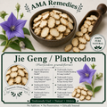 Jie Geng / Platycodon (Platycodon grandiflorus)