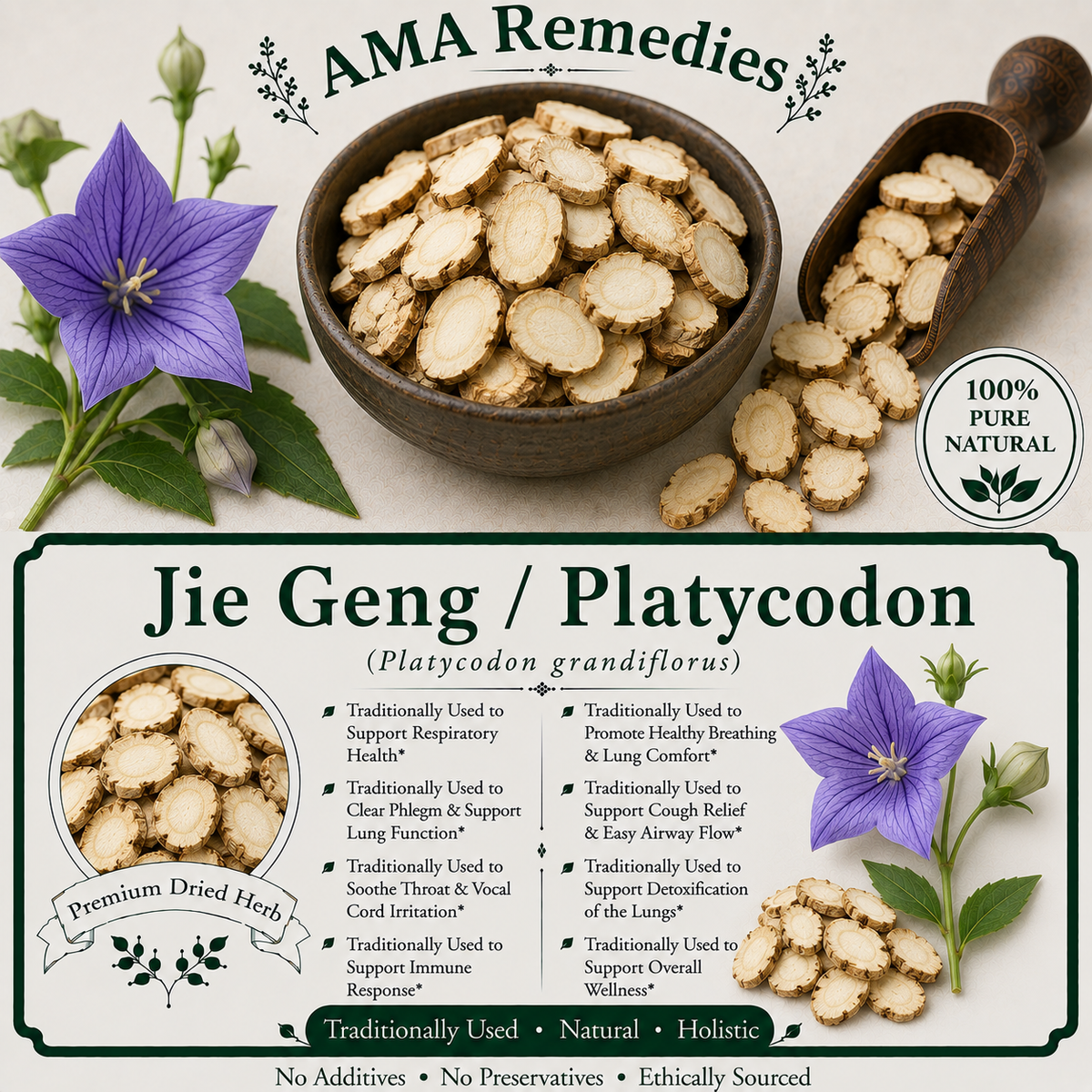 Jie Geng / Platycodon (Platycodon grandiflorus)