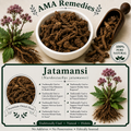Jatamansi (Nardostachys jatamansi) — Dried Rhizome