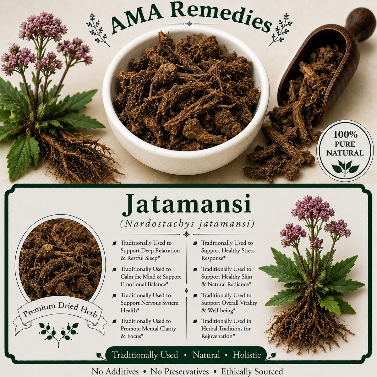 Jatamansi (Nardostachys jatamansi) — Dried Rhizome