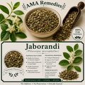 Jaborandi (Pilocarpus microphyllus) — Dried Leaves