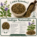 Indigo Naturalis (Baphicacanthus cusia)