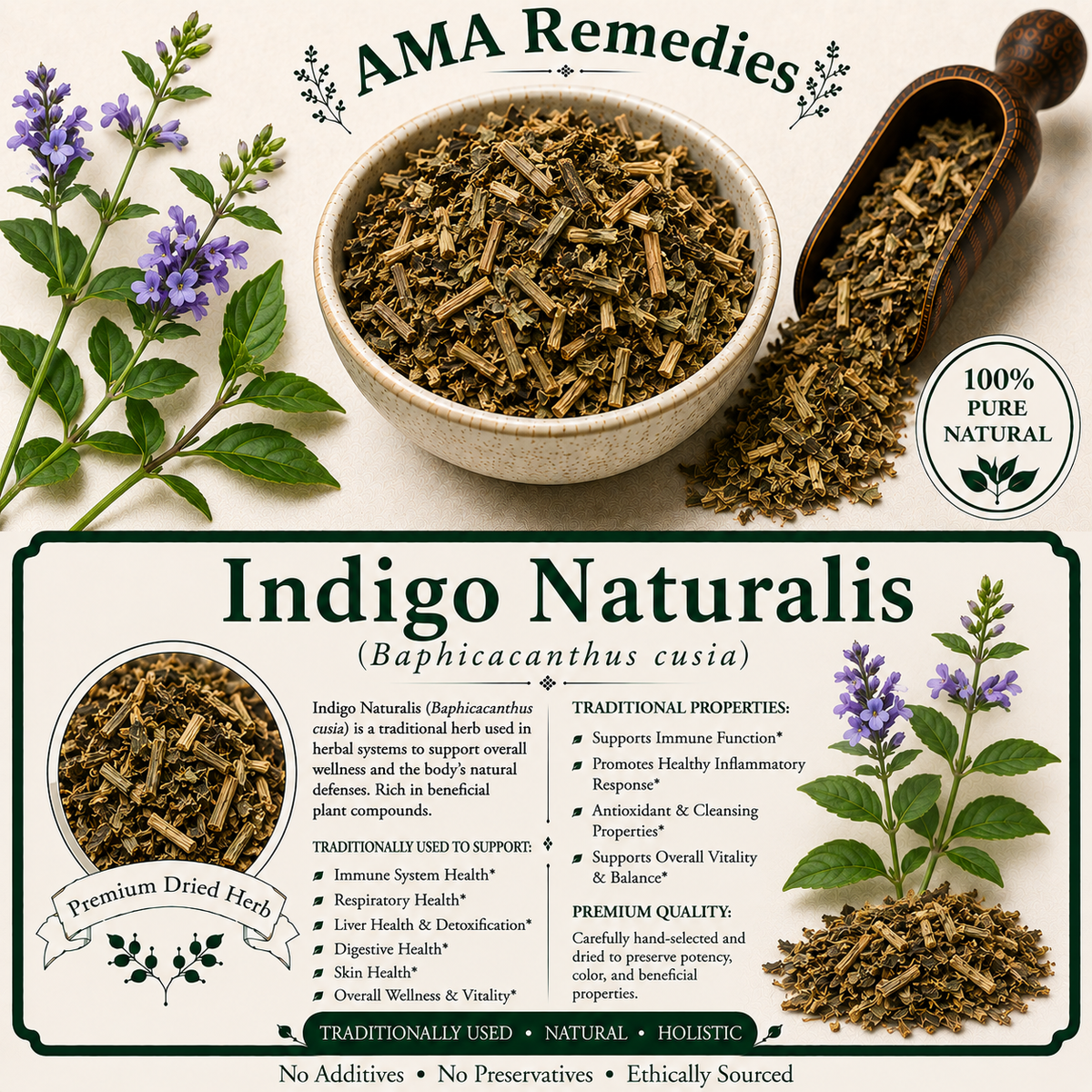 Indigo Naturalis (Baphicacanthus cusia)