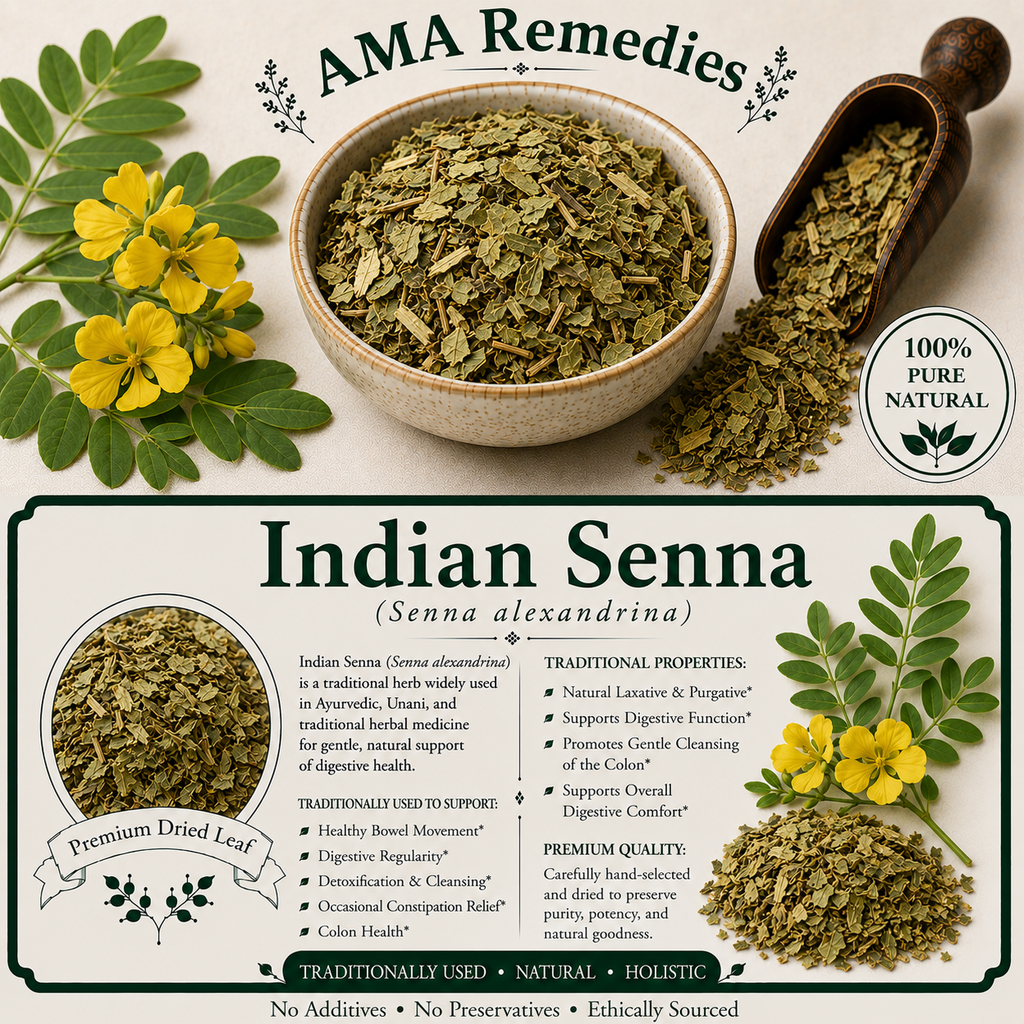 Indian Senna (Senna alexandrina)
