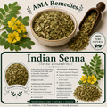 Indian Senna (Senna alexandrina)