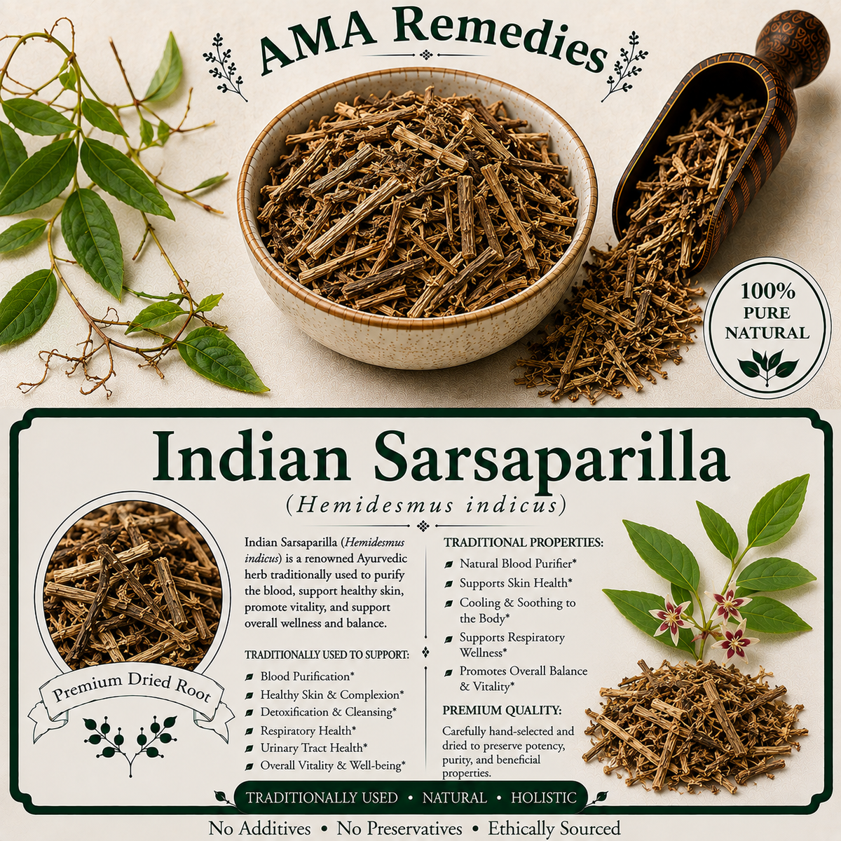 Indian Sarsaparilla (Hemidesmus indicus)