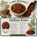 Indian Kino (Pterocarpus marsupium)