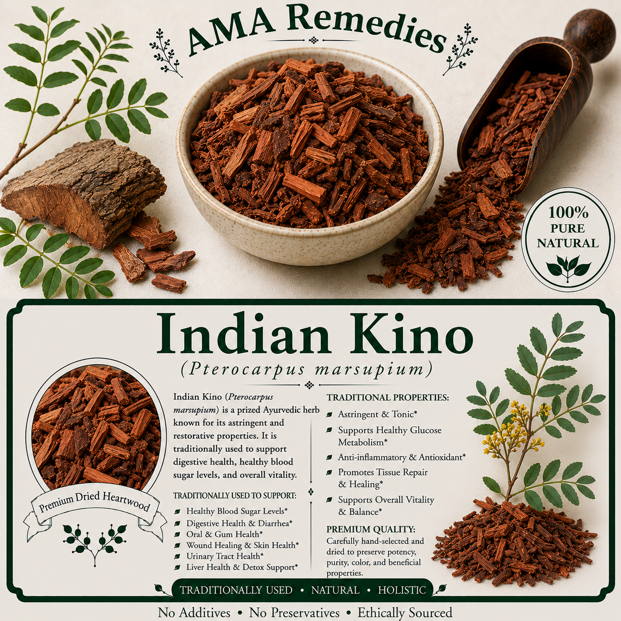 Indian Kino (Pterocarpus marsupium)