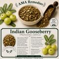 Indian Gooseberry (Phyllanthus emblica)