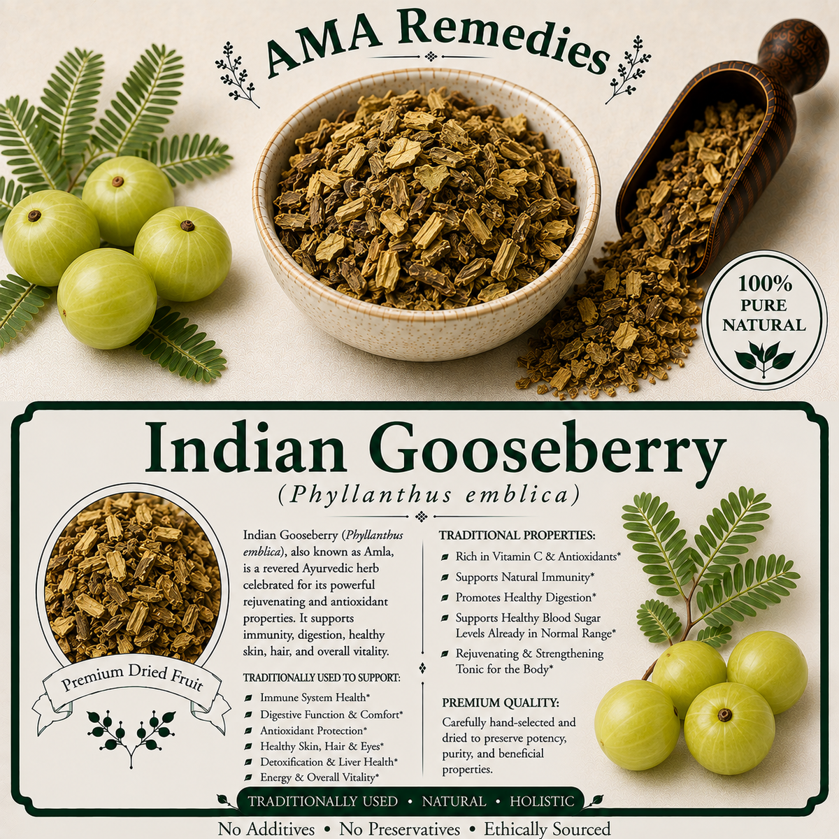 Indian Gooseberry (Phyllanthus emblica)