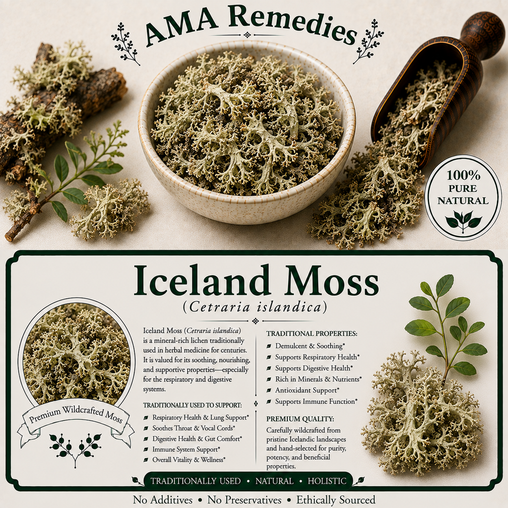 Iceland Moss (Cetraria islandica)