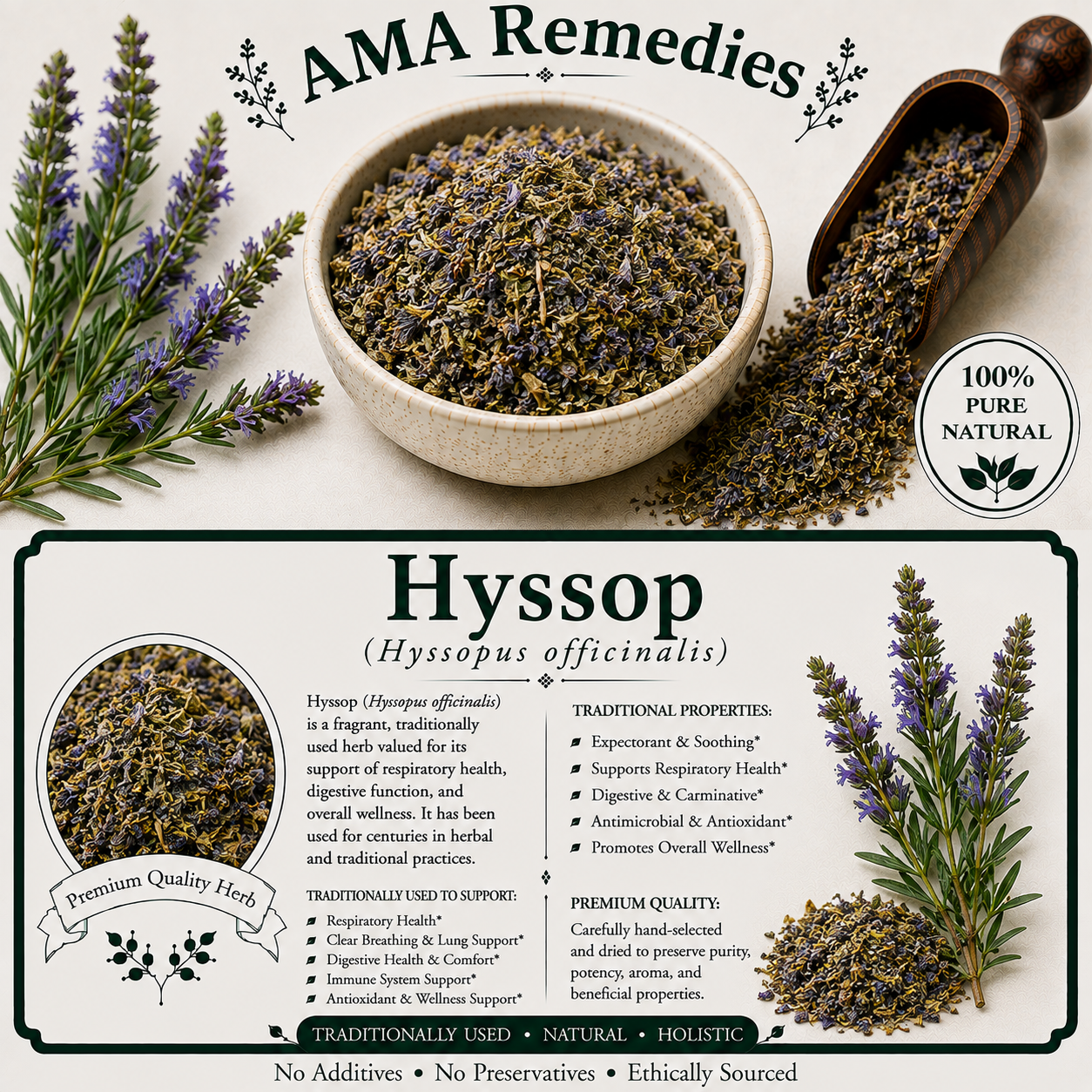Hyssop (Hyssopus officinalis)