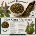 Huo Xiang / Patchouli (Pogostemon cablin)