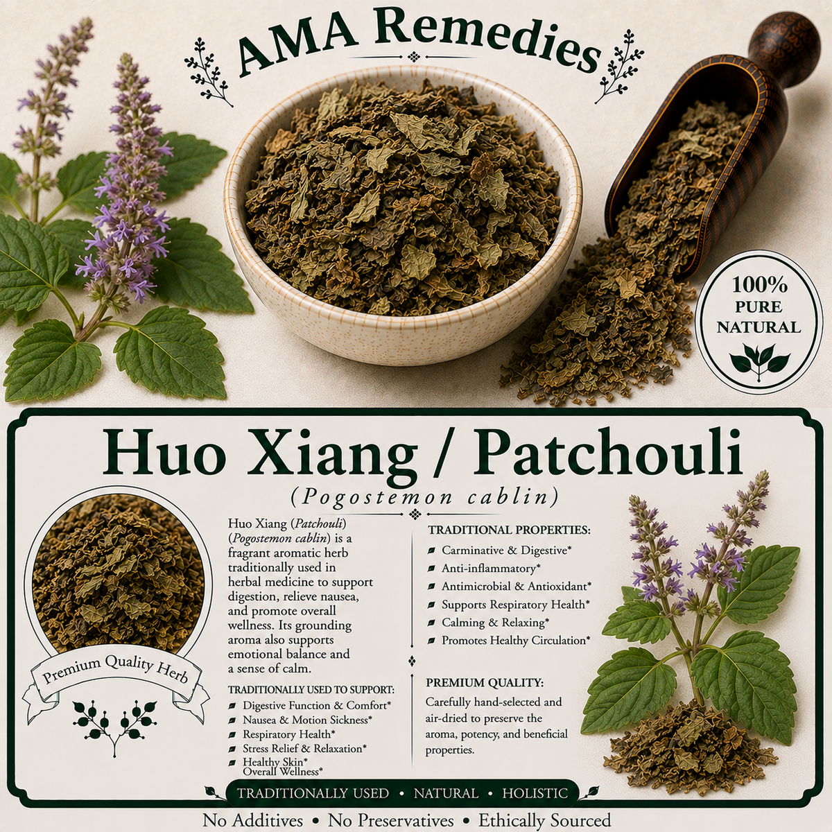 Huo Xiang / Patchouli (Pogostemon cablin)
