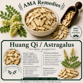 Huang Qi / Astragalus (Astragalus mongholicus)