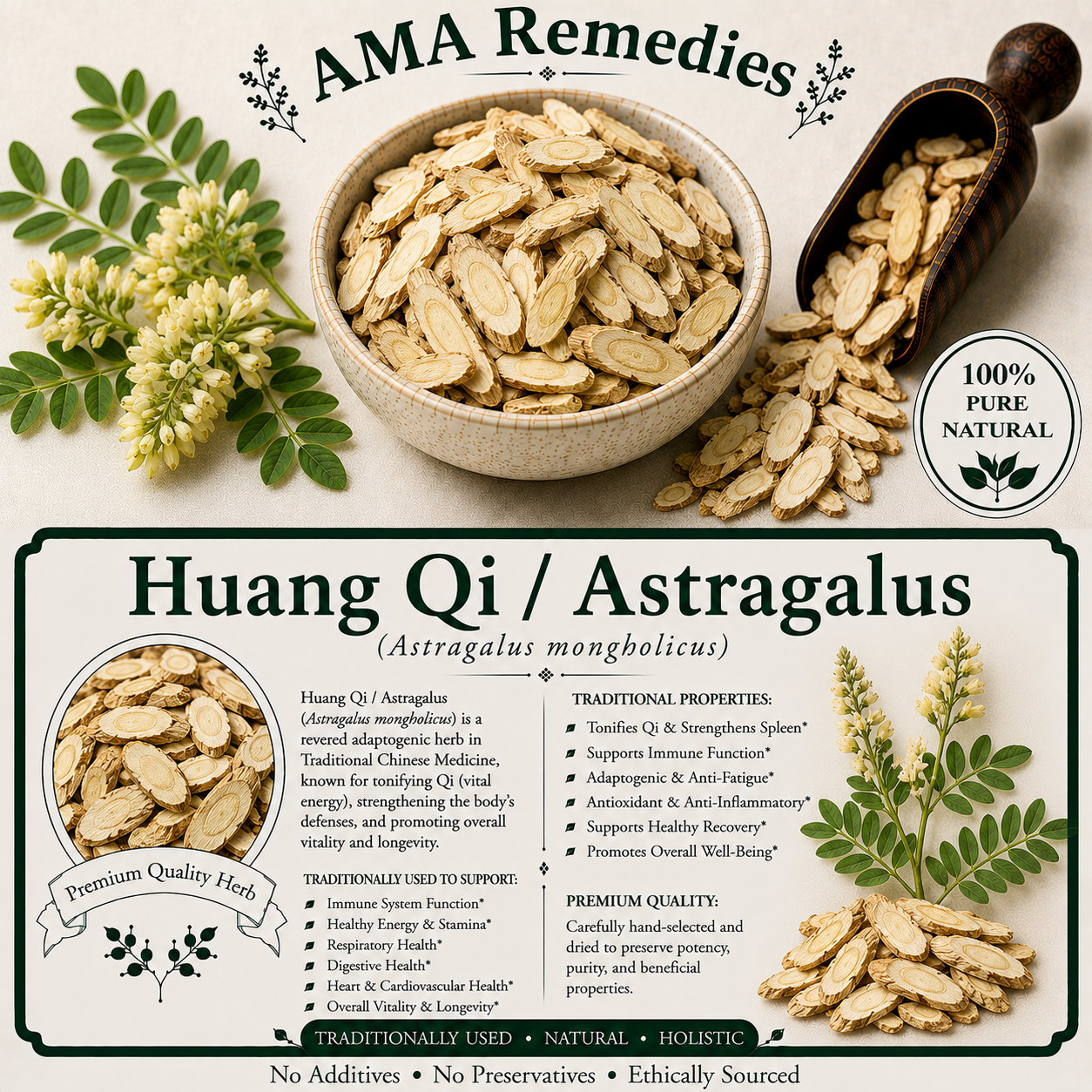 Huang Qi / Astragalus (Astragalus mongholicus)
