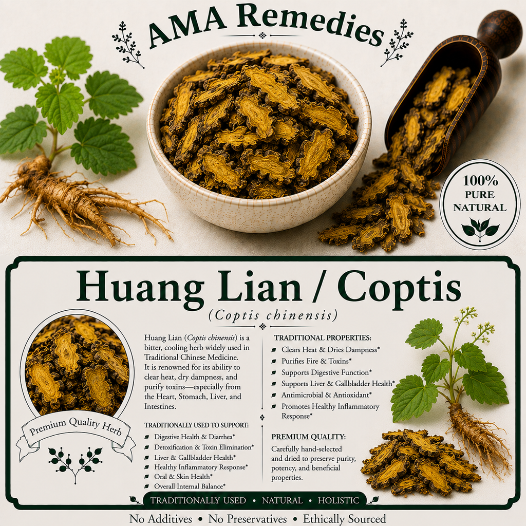 Huang Lian / Coptis (Coptis chinensis)