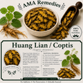 Huang Lian / Coptis (Coptis chinensis)