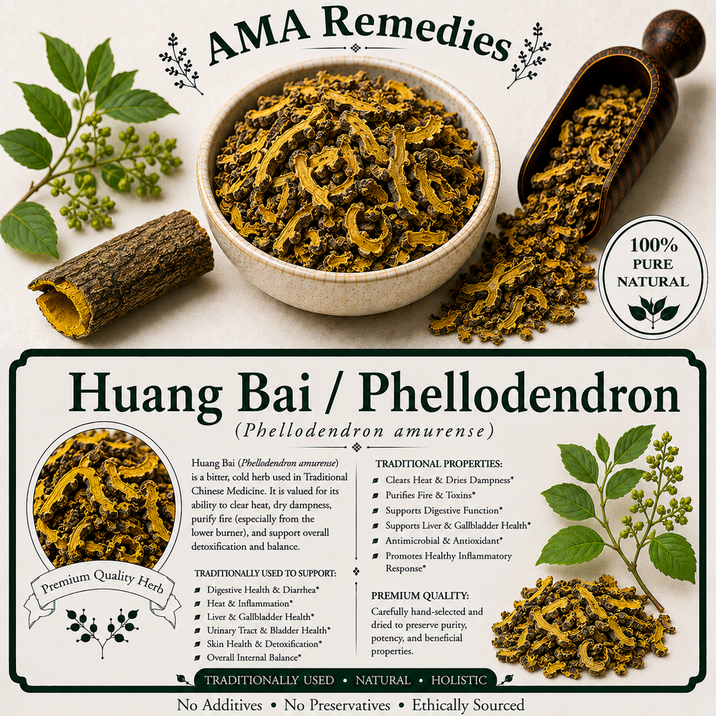 Huang Bai / Phellodendron (Phellodendron amurense)