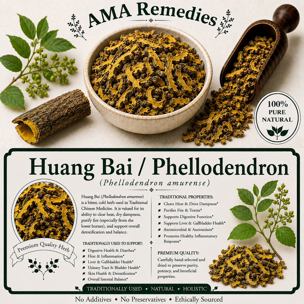 Huang Bai / Phellodendron (Phellodendron amurense)