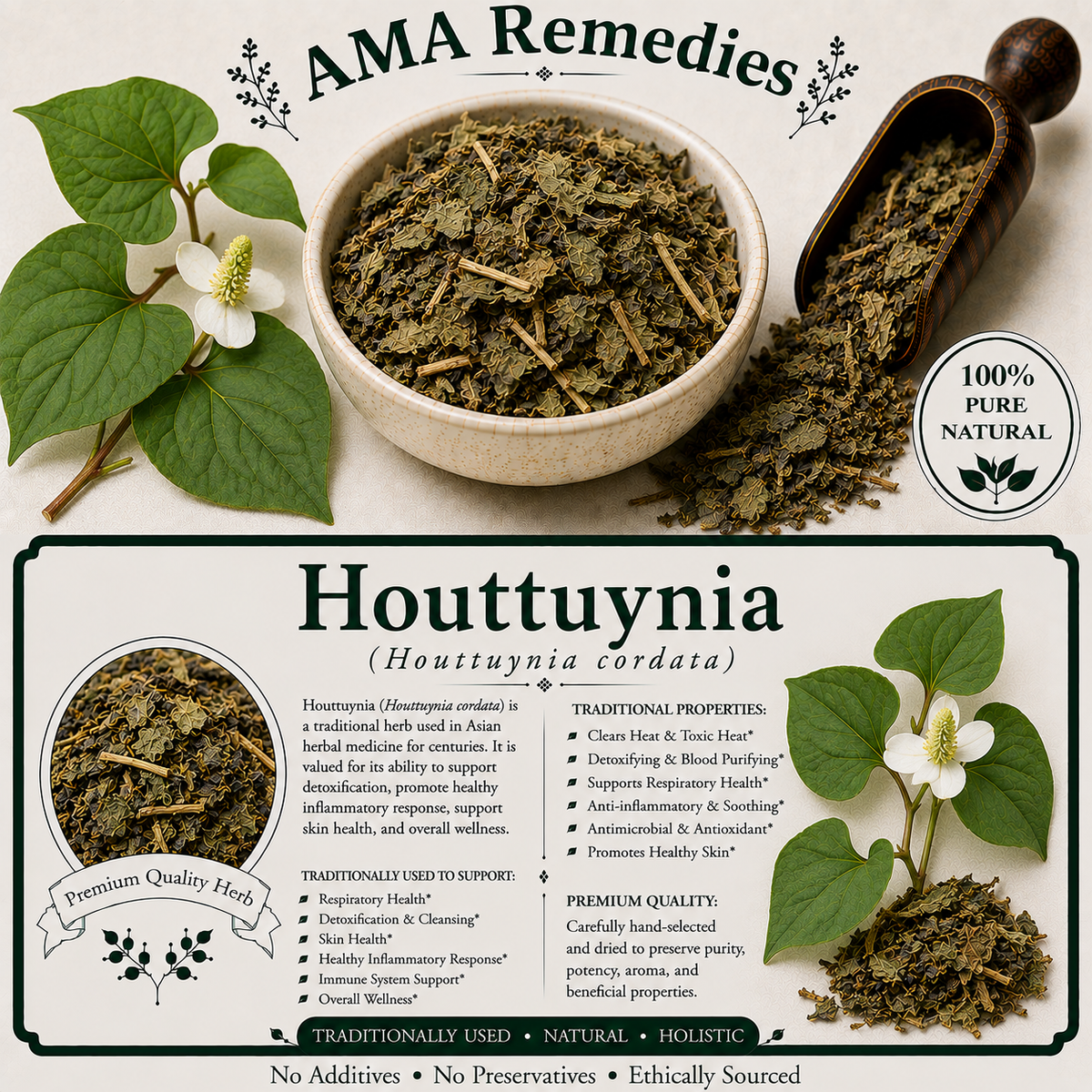 Houttuynia (Houttuynia cordata)