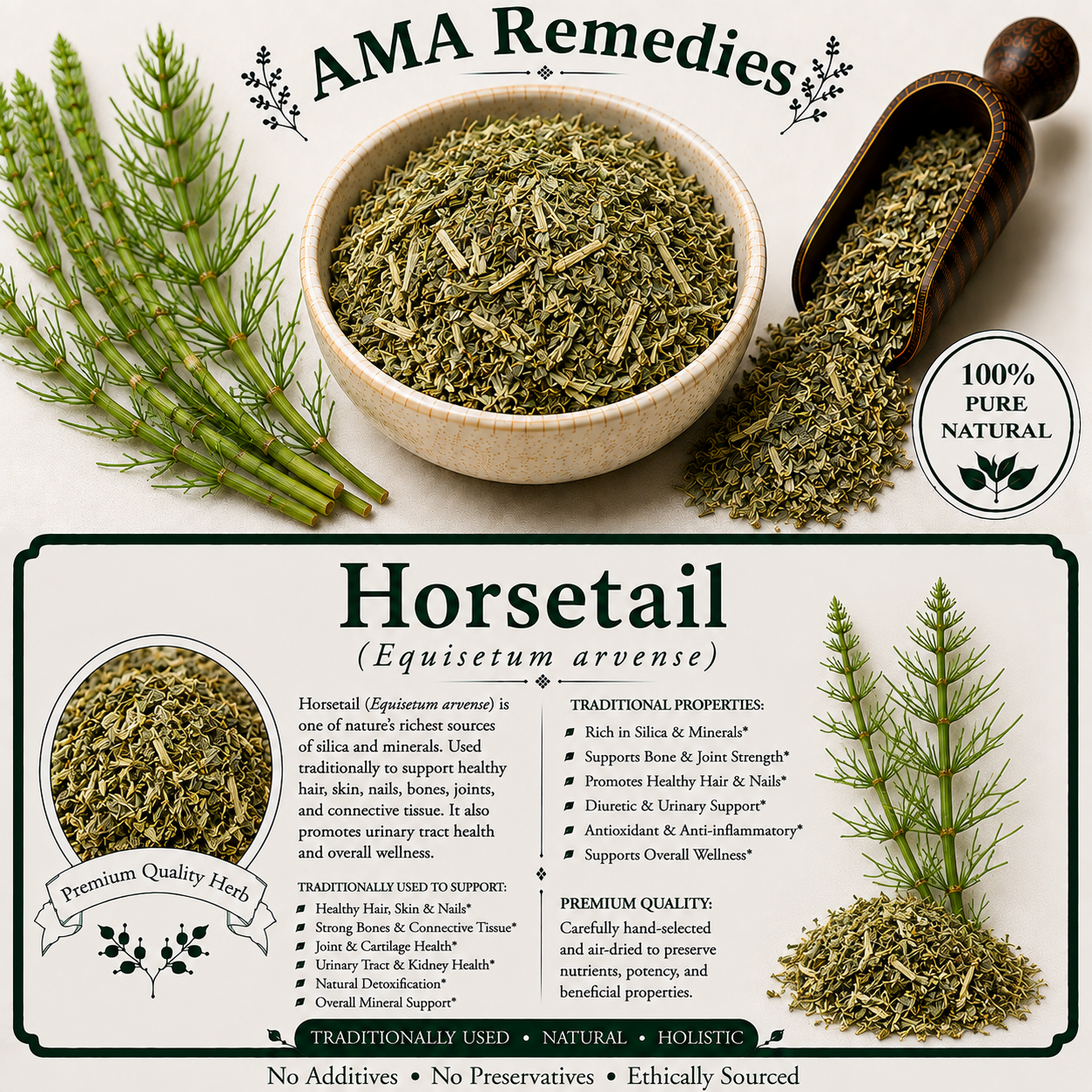 Horsetail (Equisetum arvense)