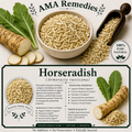 Horseradish (Armoracia rusticana)