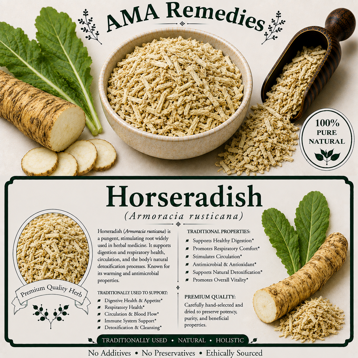 Horseradish (Armoracia rusticana)