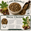 Horse Chestnut (Aesculus hippocastanum)