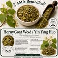 Horny Goat Weed / Yin Yang Huo (Epimedium brevicornum)