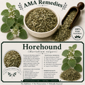 Horehound (Marrubium vulgare)