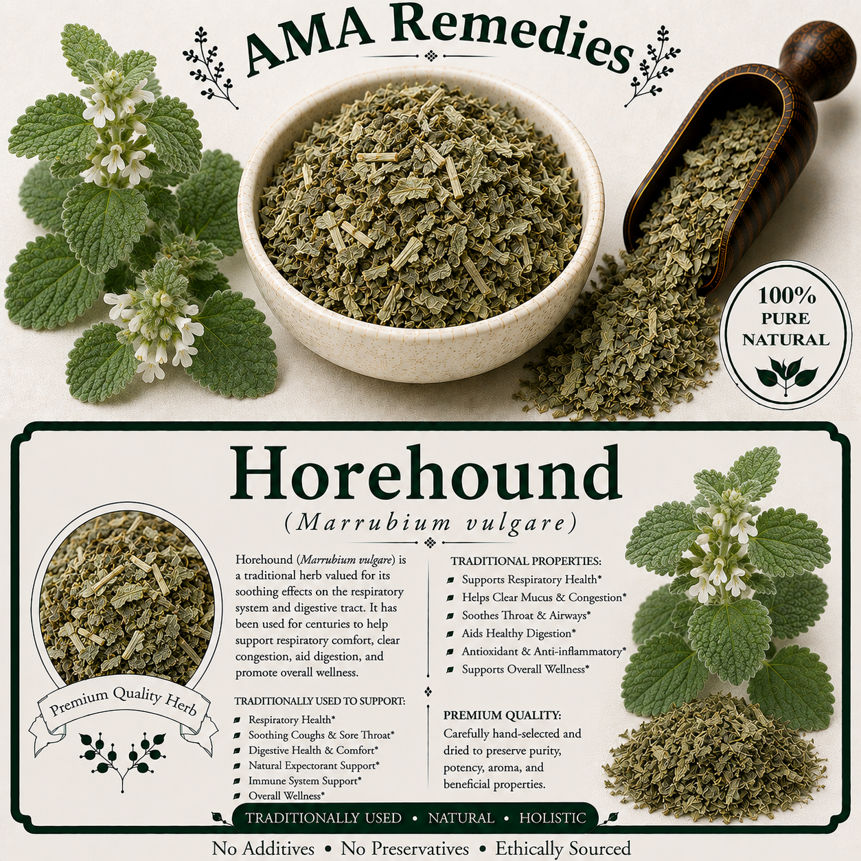 Horehound (Marrubium vulgare)