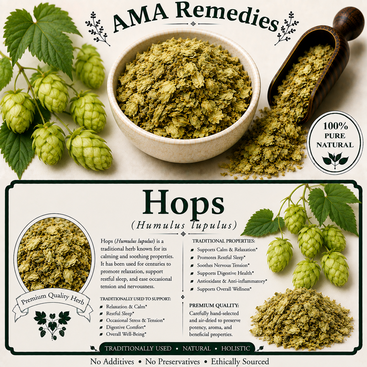 Hops (Humulus lupulus)