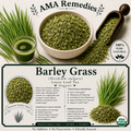 Barley Grass (Hordeum vulgare) — Organic Dried Young Shoots