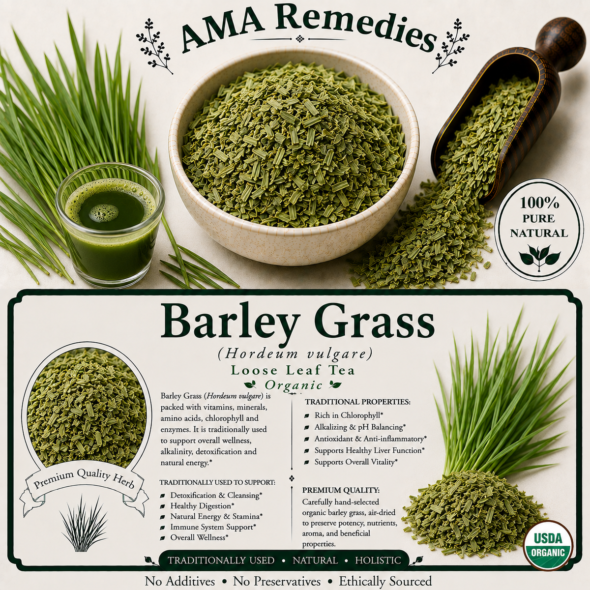 Barley Grass (Hordeum vulgare) — Organic Dried Young Shoots