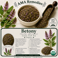 Betony (Stachys officinalis) — Organic Dried Herb