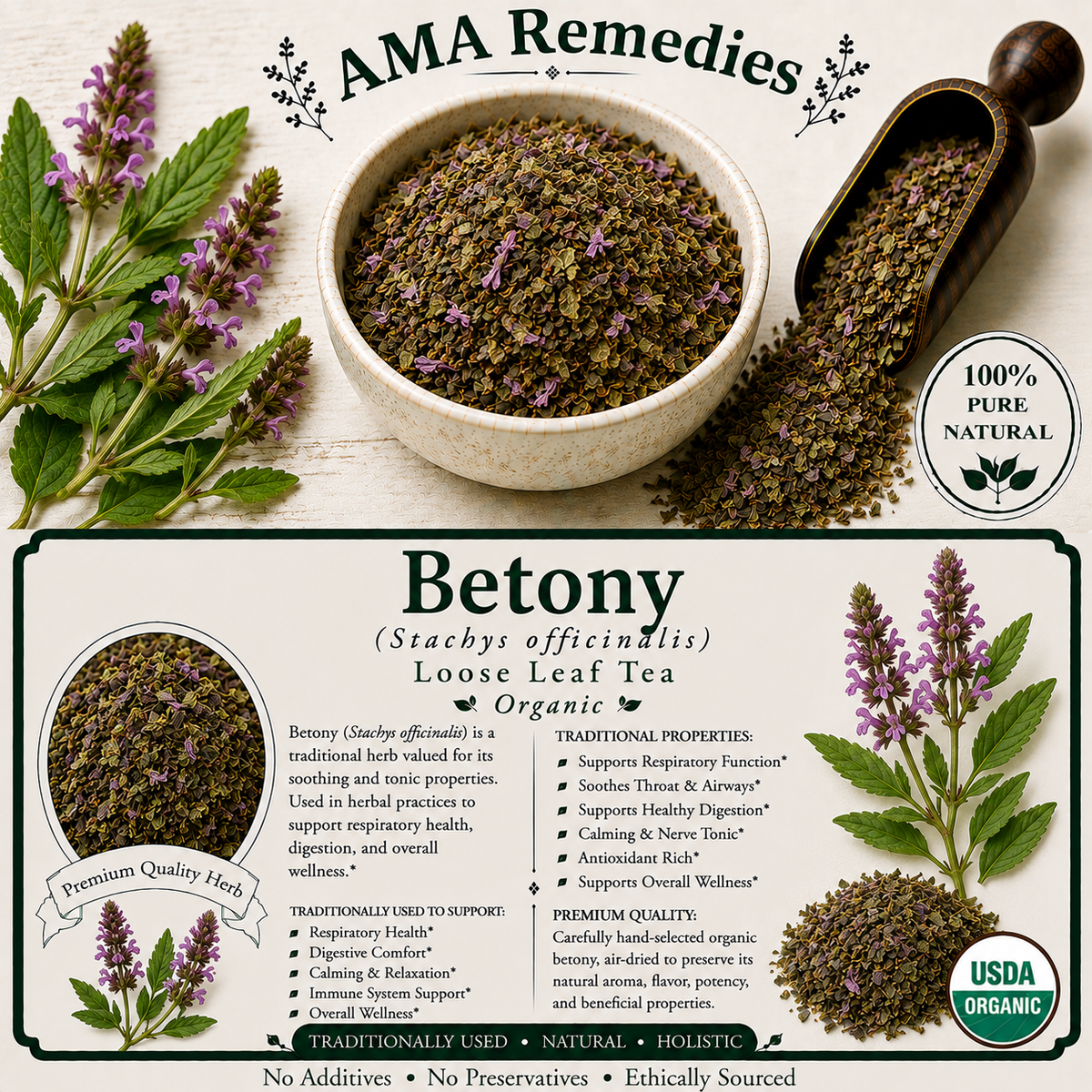 Betony (Stachys officinalis) — Organic Dried Herb