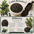 Bilberry (Vaccinium myrtillus) Loose Leaf Tea (Organic)