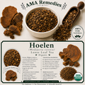Hoelen (Wolfiporia extensa) — Dried Sclerotium