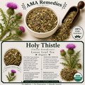 Holy Thistle (Cnicus benedictus)
