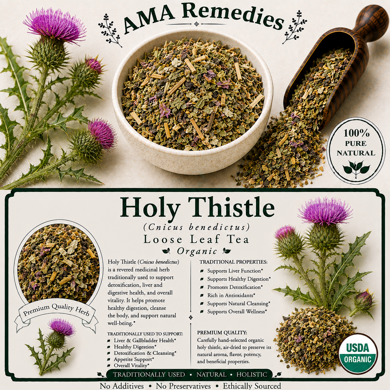Holy Thistle (Cnicus benedictus)