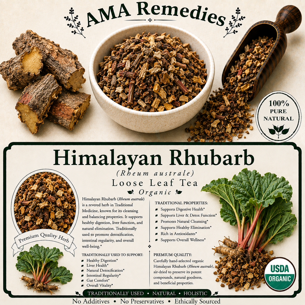 Himalayan Rhubarb (Rheum australe) — Dried Rhizome