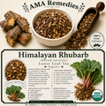 Himalayan Rhubarb (Rheum australe) — Dried Rhizome