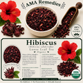 Hibiscus (Hibiscus sabdariffa)