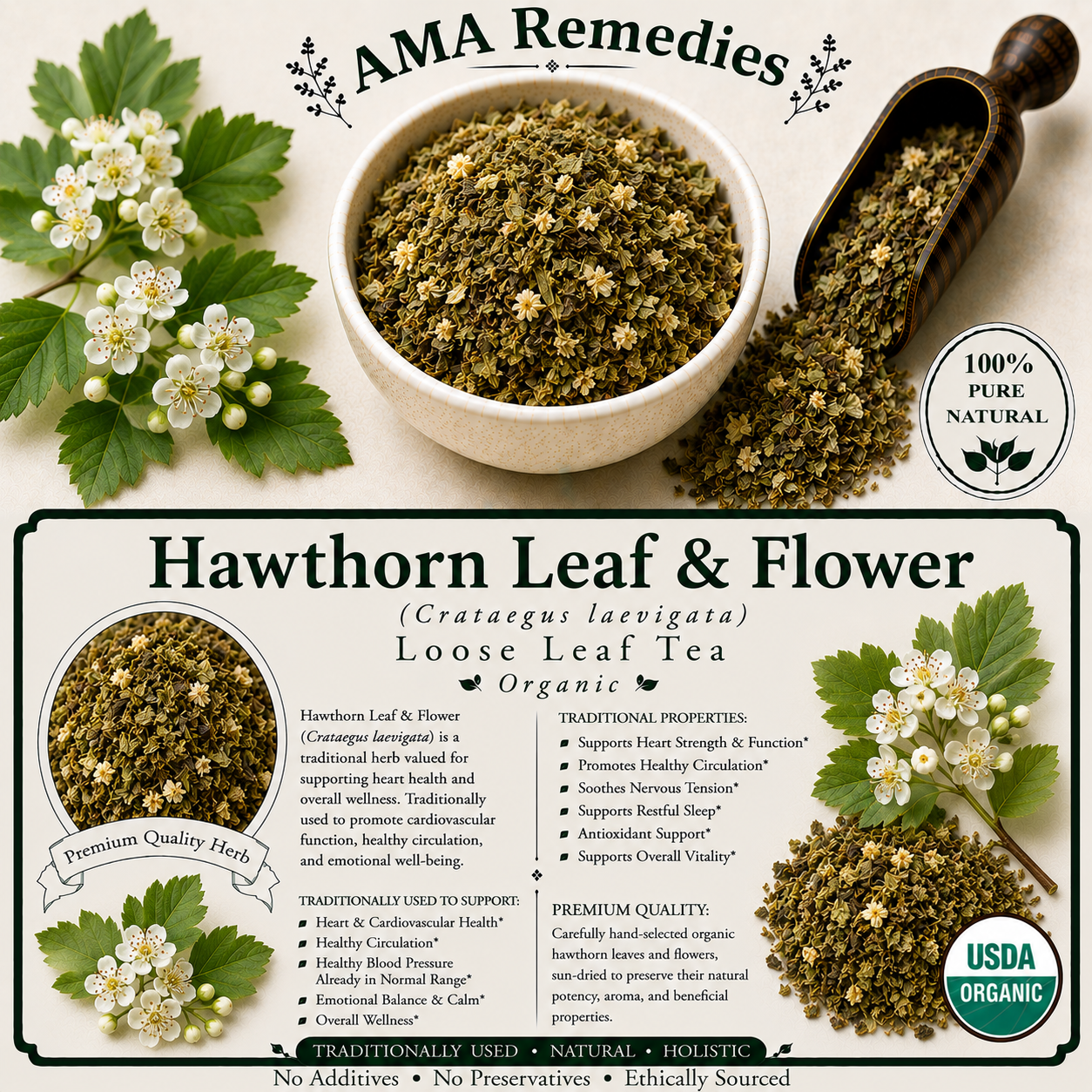 Hawthorn Leaf & Flower (Crataegus laevigata)