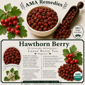 Hawthorn Berry (Crataegus monogyna)