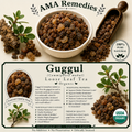 Guggul (Commiphora mukul)