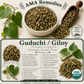 Guduchi / Giloy (Tinospora cordifolia) — Dried Stem