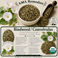 Bindweed / Convolvulus (Convolvulus pluricaulis) — Organic Dried Herb