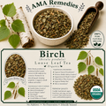 Birch (Betula pendula) — Organic